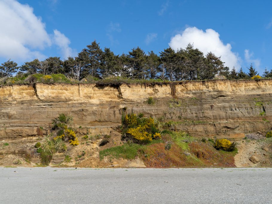 Humboldt Lagoons State Park
