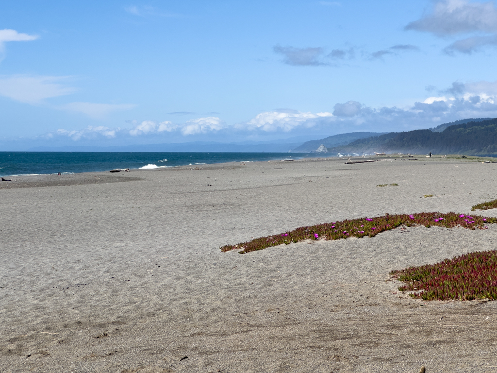 Humboldt Lagoons State Park
