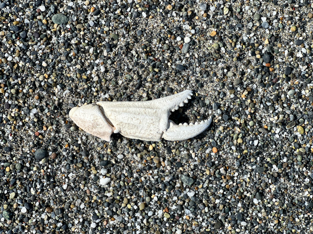 Humboldt Lagoons State Park