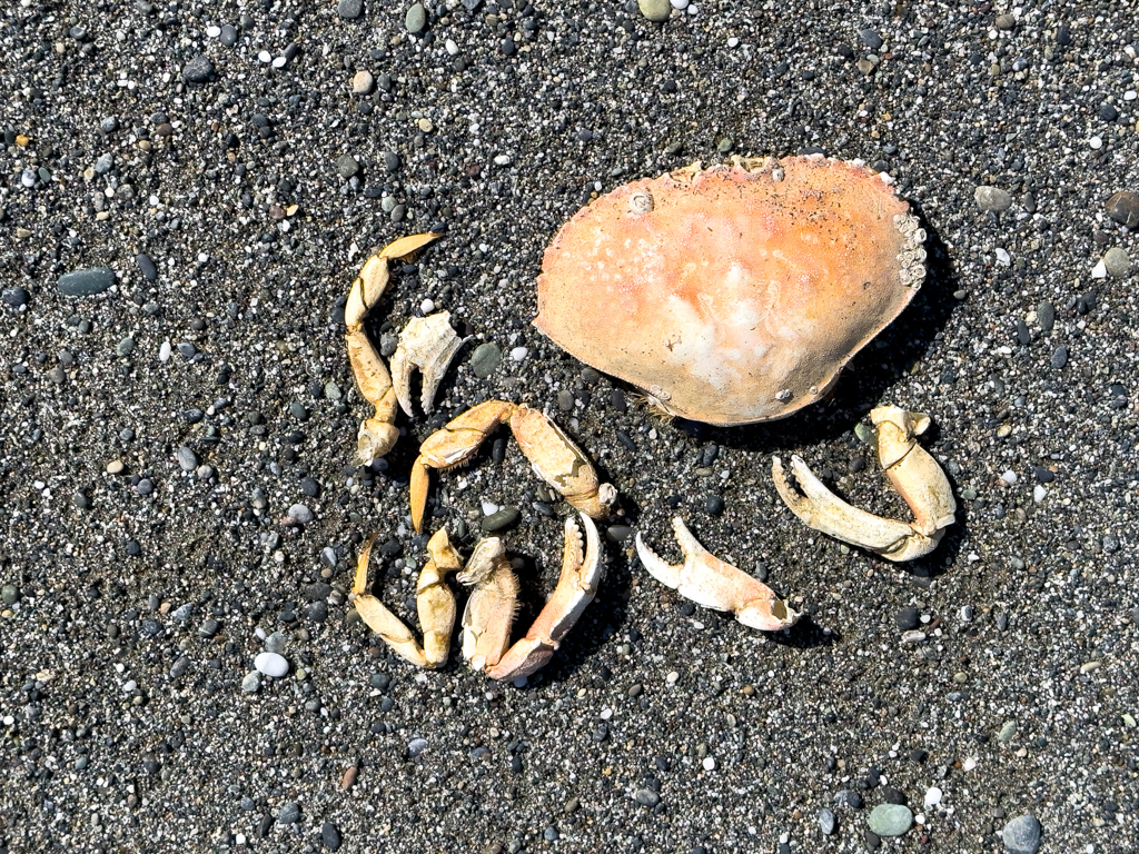 Humboldt Lagoons State Park