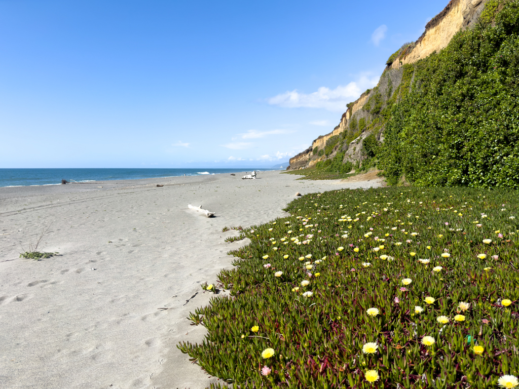 Humboldt Lagoons State Park