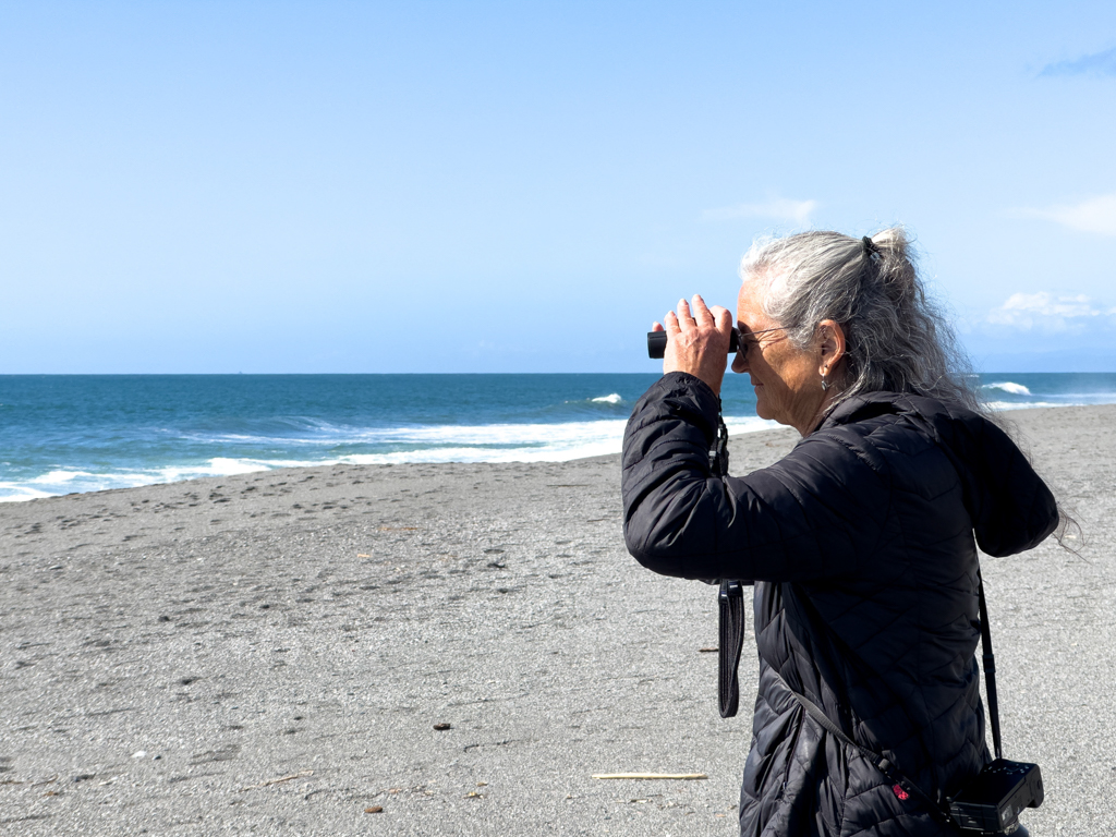 Humboldt Lagoons State Park