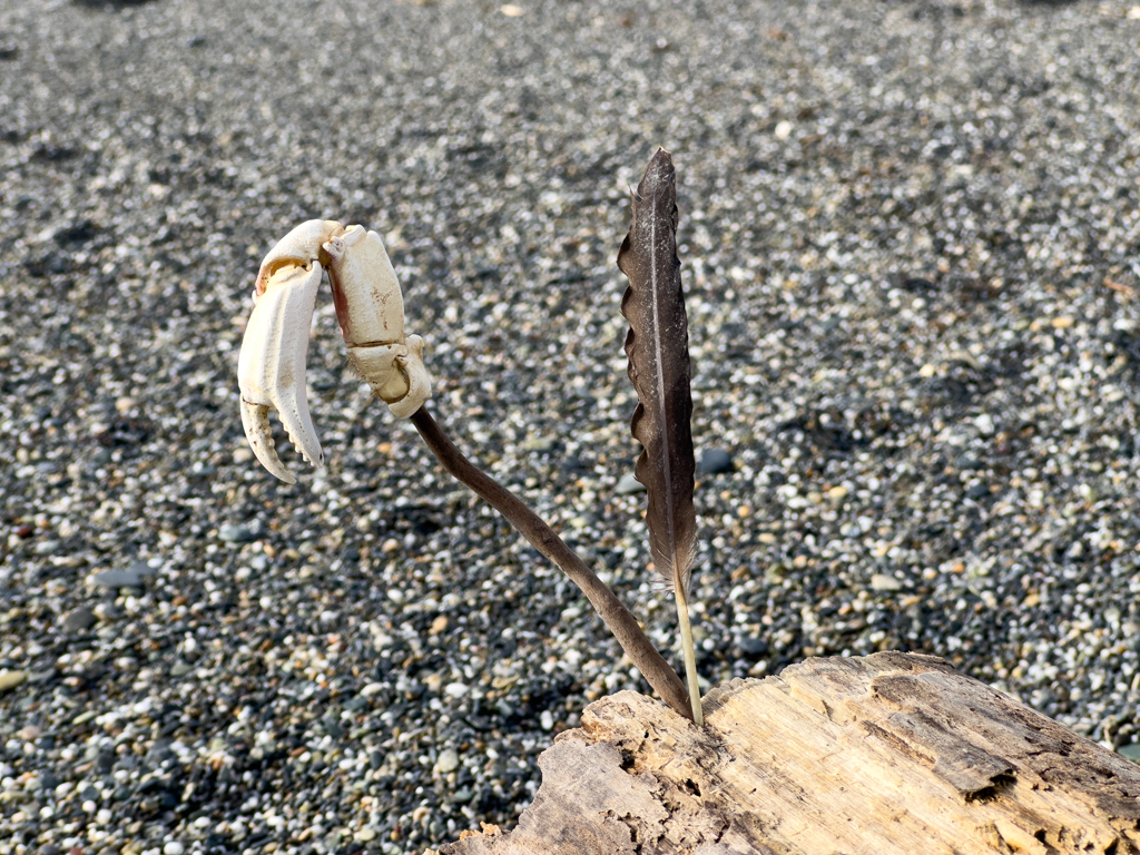 Humboldt Lagoons State Park
