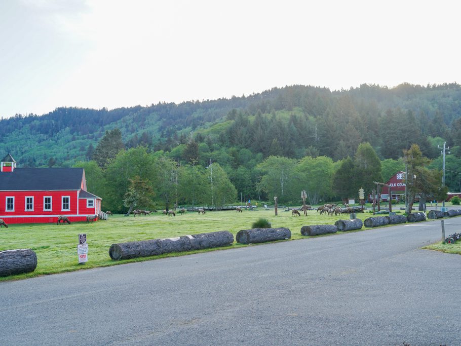 Elk Country RV Park