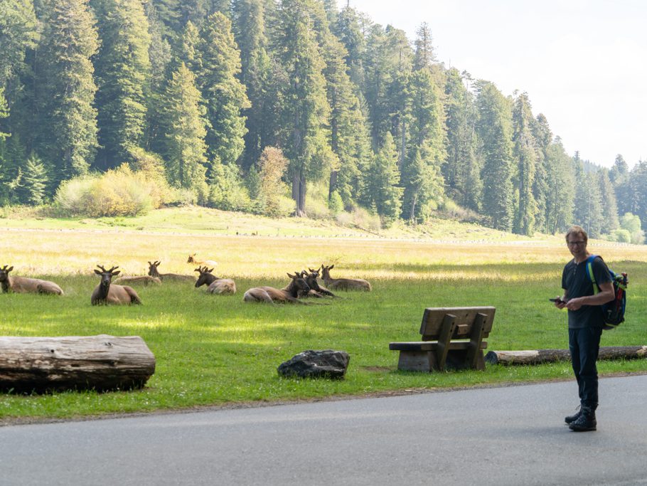 Jo auf du und du mit den Elks