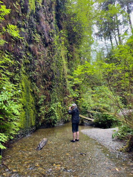 Fern Canyon
