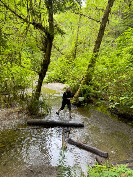 Fern Canyon