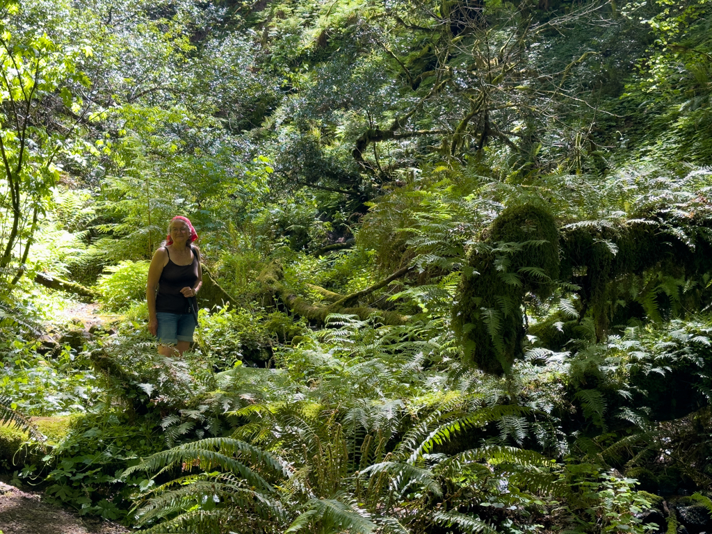 Wald, Humbug Mountain Trail