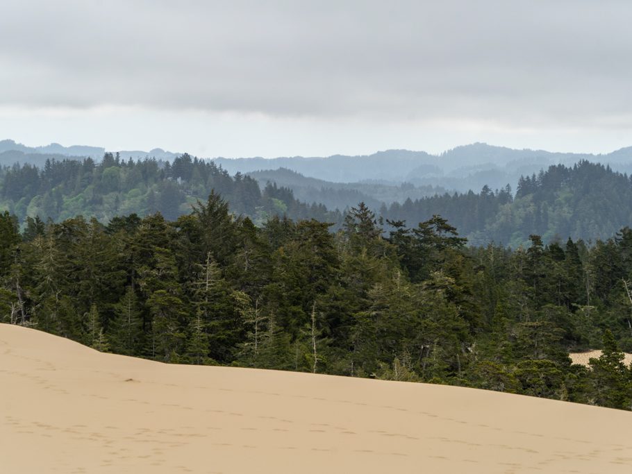 Beeindruckende Dünenlandschaft mit Blick ins Inland von Oregon