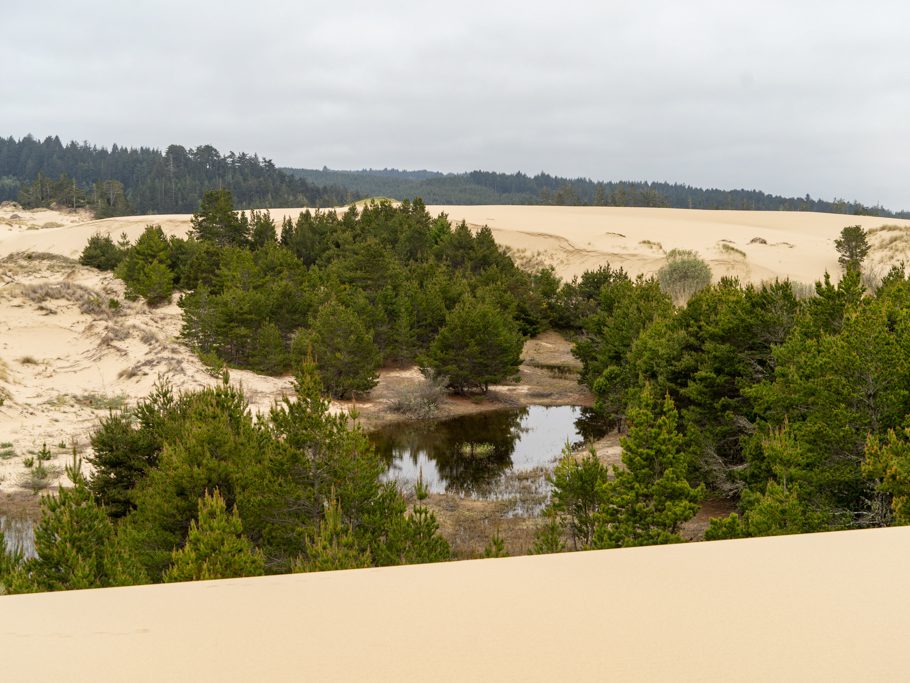 Riesige Dünen und kleine Seen an der Küste Oregons