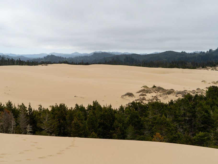 Dünen an der Küste Oregons