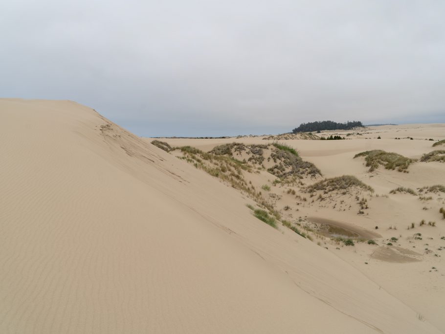 Dünen an der Küste Oregons