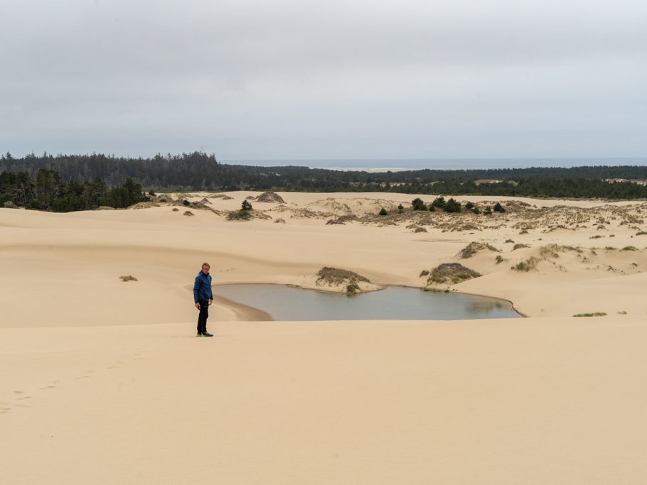 Dünen an der Küste Oregons