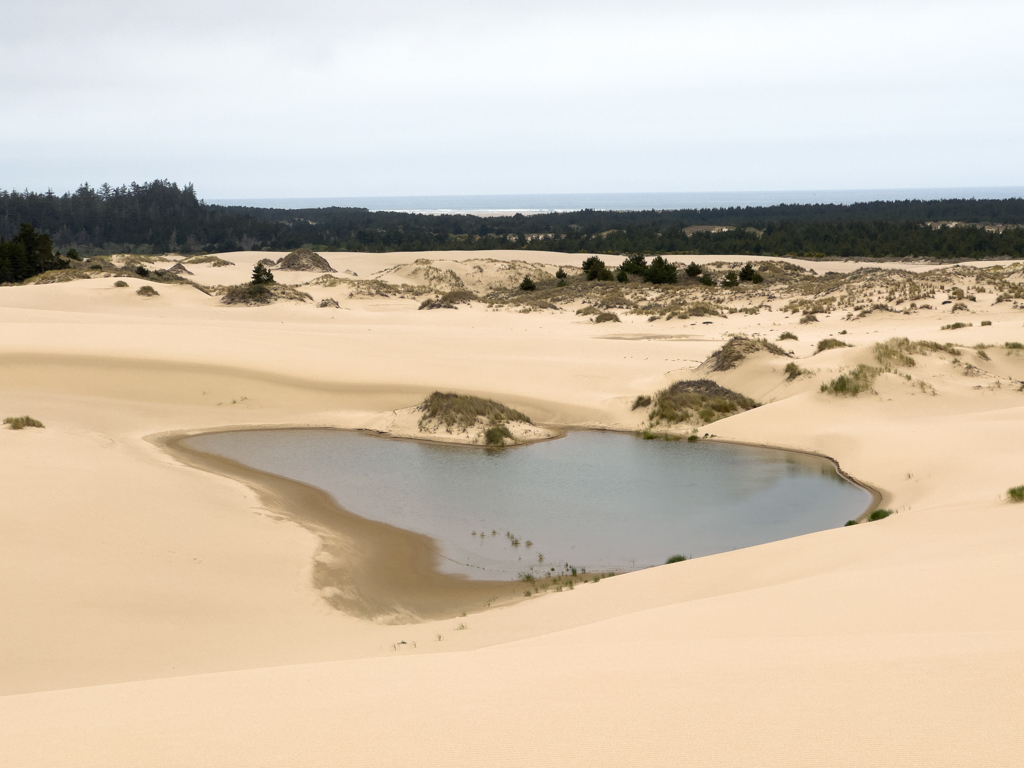 Dünen und kleine Seen an der Küste Oregons