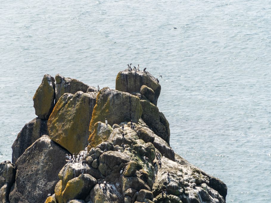 Yaquina Head - Outstanding Natural Area