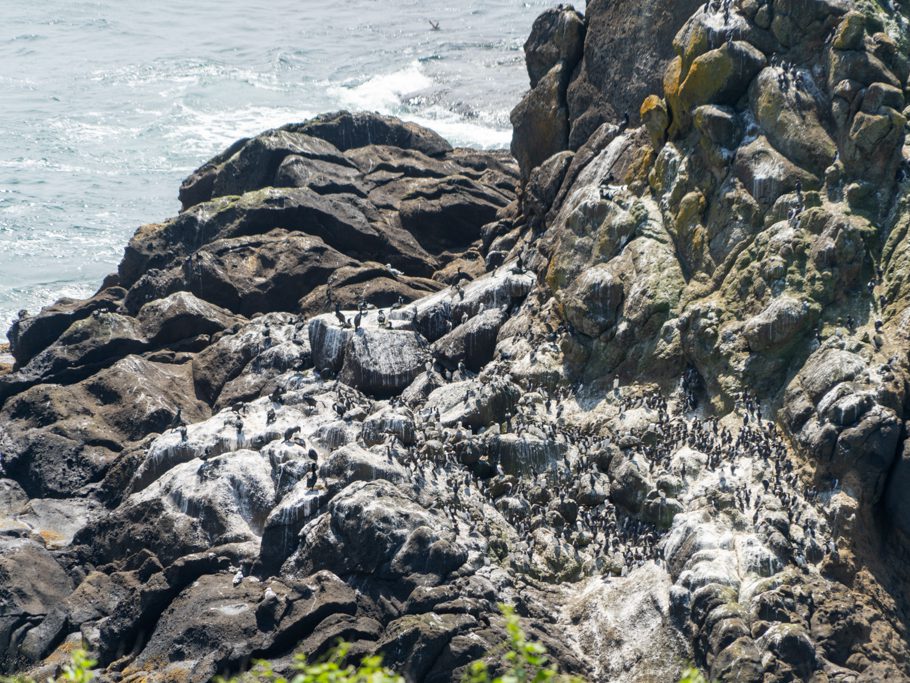 Yaquina Head - Outstanding Natural Area