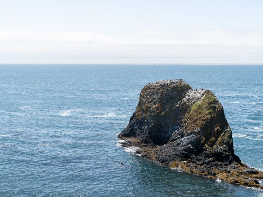 Yaquina Head - Outstanding Natural Area: Der Fels ist wie leergefegt, alle Vögel sind fluchtartig ausgeflogen