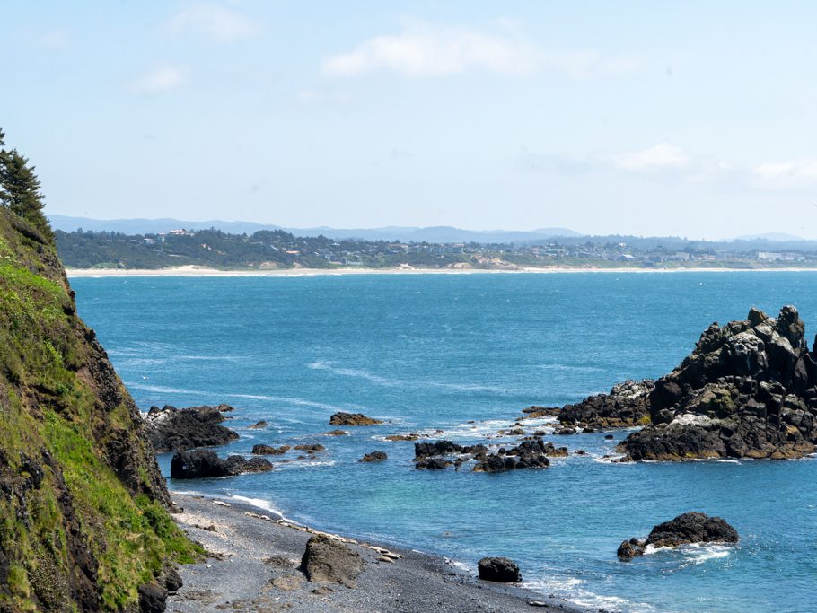 Yaquina Head - Outstanding Natural Area: Robben am Strand mit schwarzen, grossen, runden Kieseln