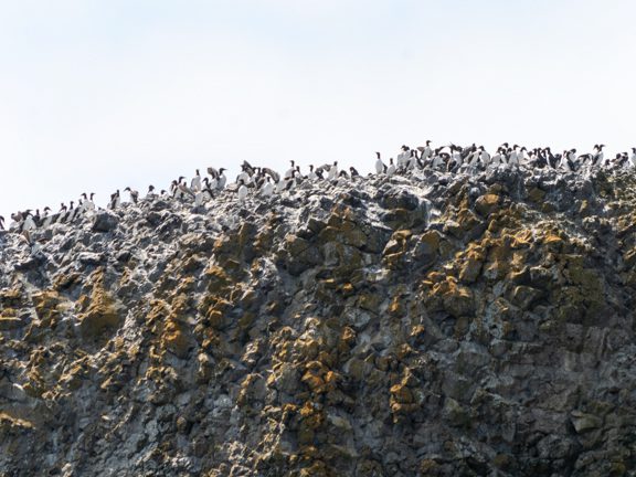 Yaquina Head - Outstanding Natural Area