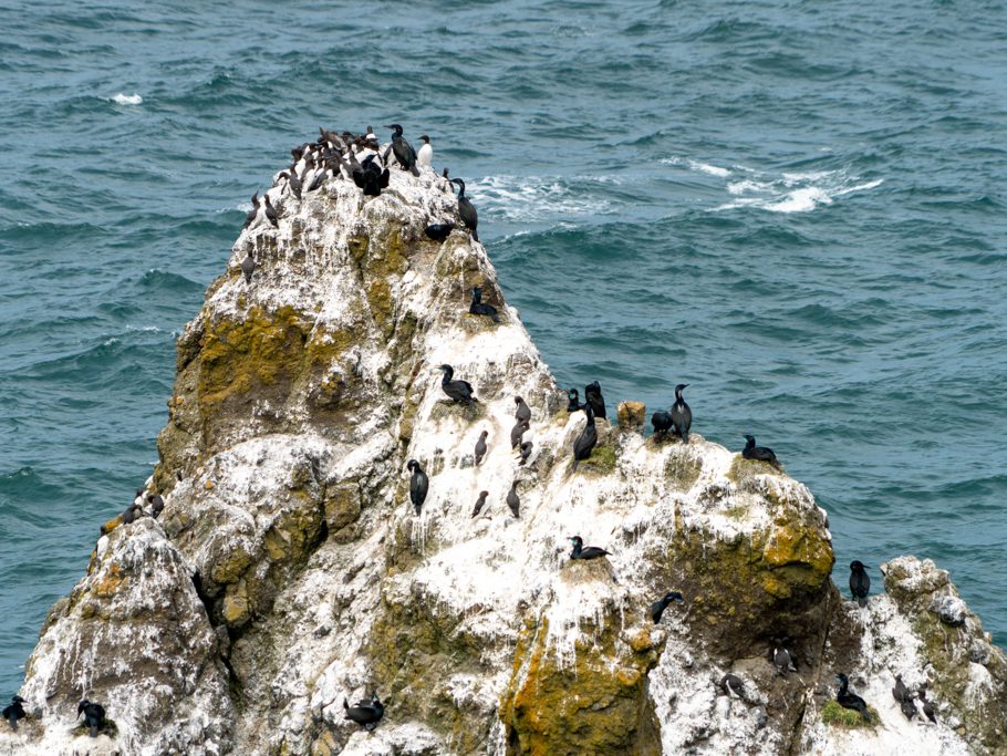 Yaquina Head - Outstanding Natural Area