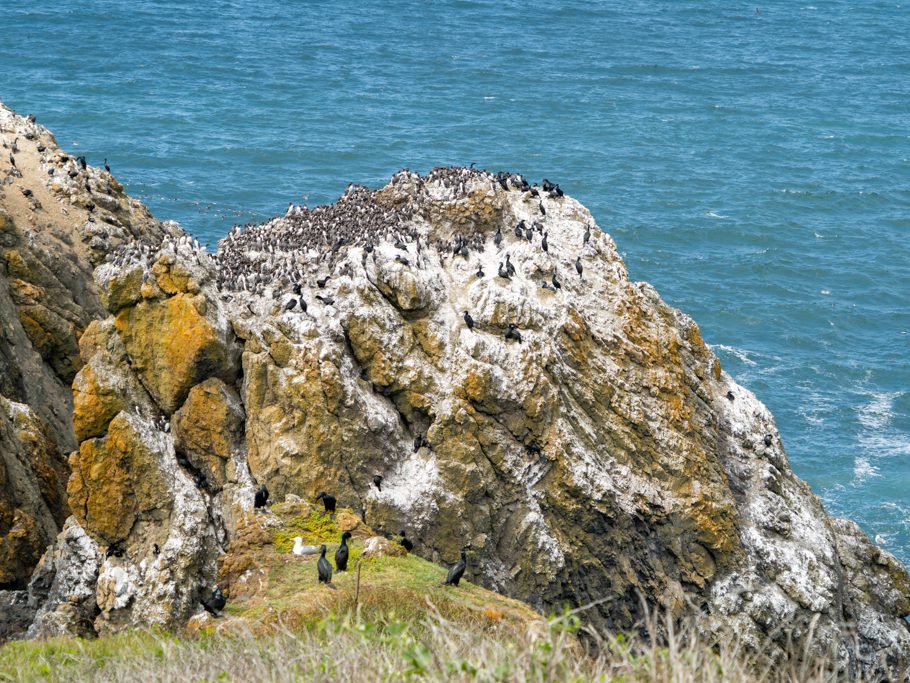 Yaquina Head - Outstanding Natural Area