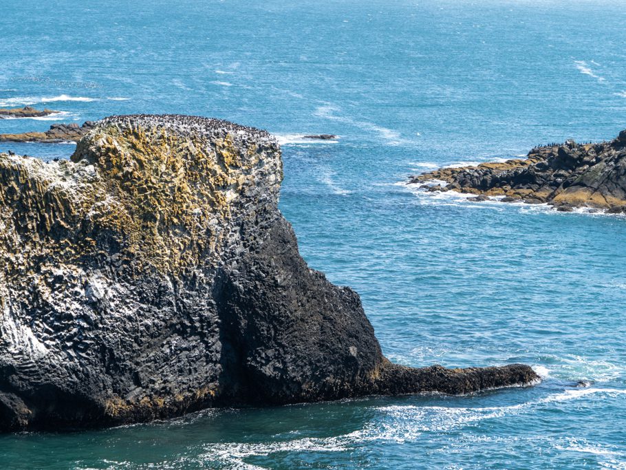 Yaquina Head - Outstanding Natural Area