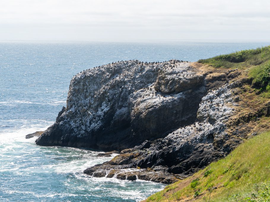 Yaquina Head - Outstanding Natural Area