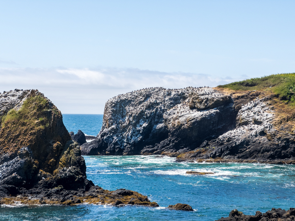 Yaquina Head - Outstanding Natural Area