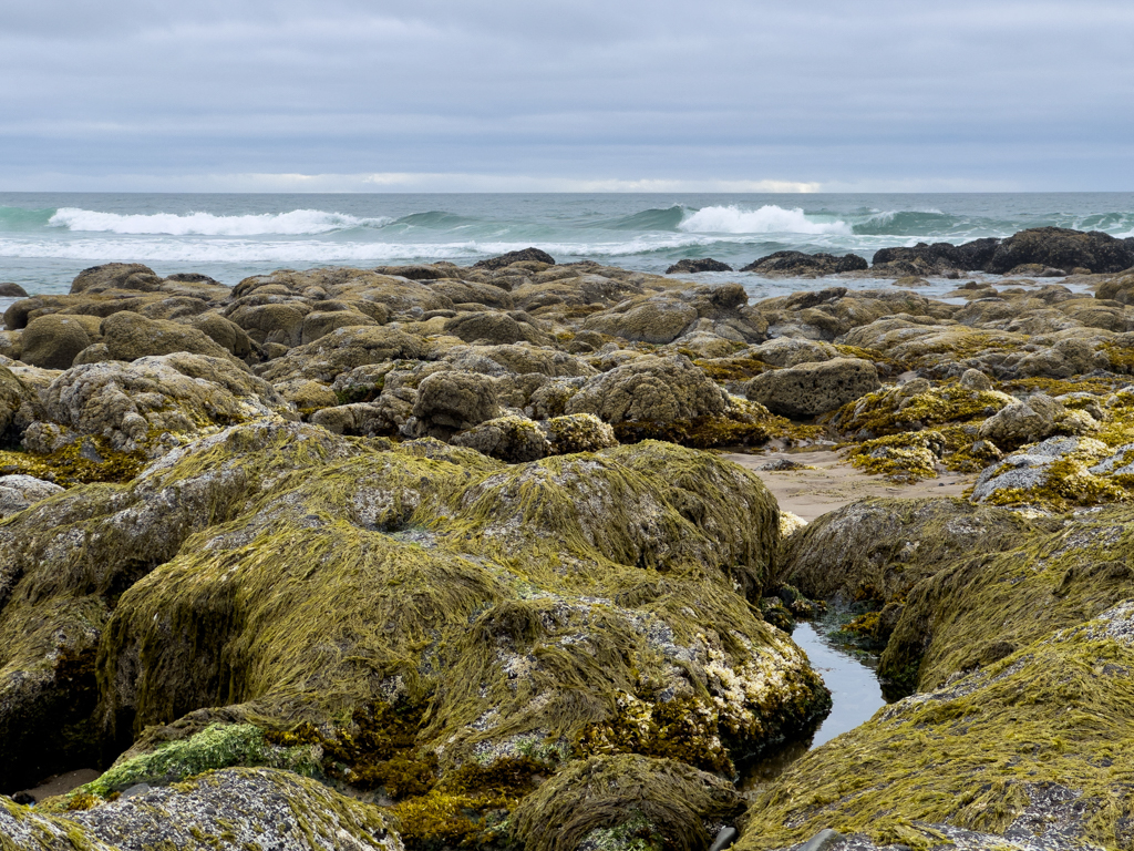 Ebbe an der Beach bei Lincoln City, Oregon Coast