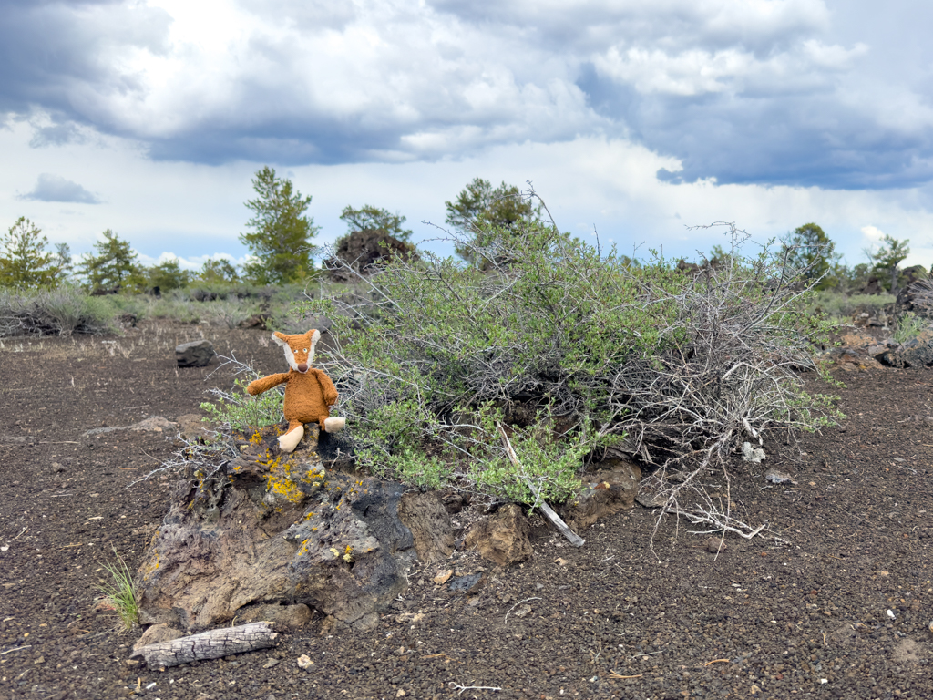 Mo in Craters of the Moon National Monument, Idaho