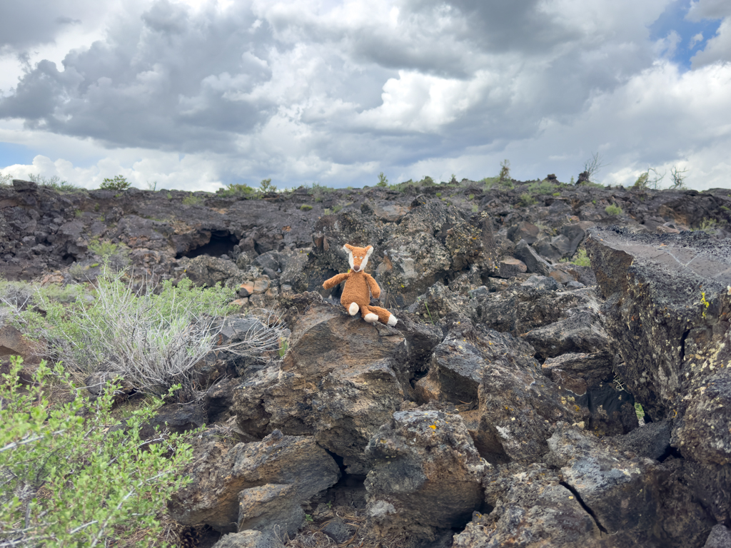 Mo in Craters of the Moon National Monument, Idaho