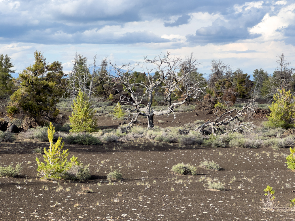 Craters of the Moon, Landschaft