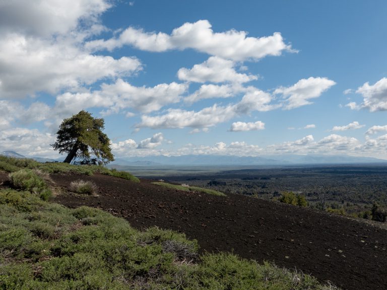 Lone Tree, "Inferno Cone", Craters of the Moon National Monument, Idaho