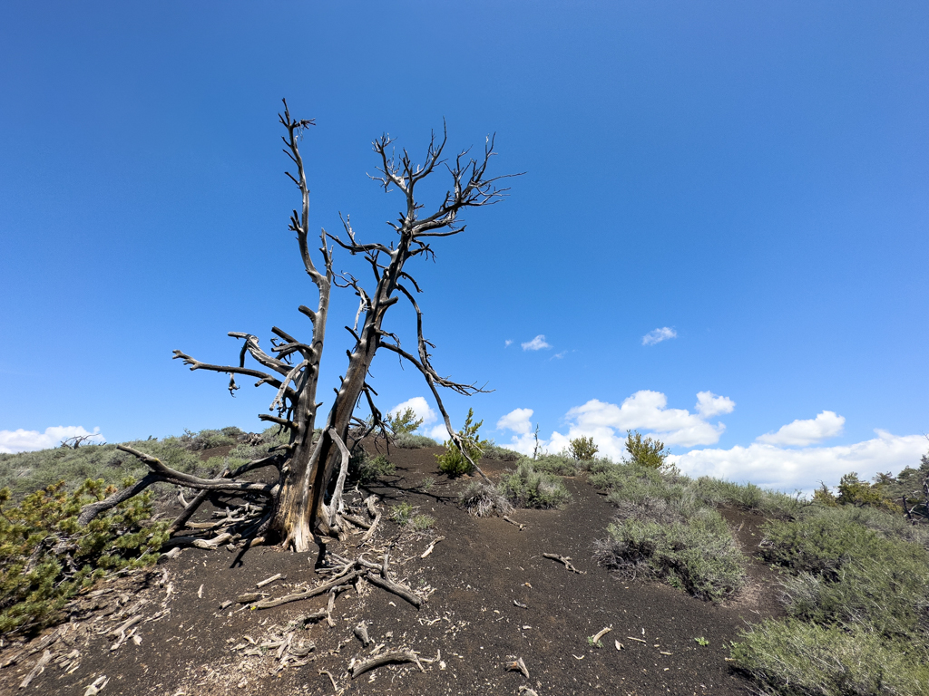 Craters of the Moon