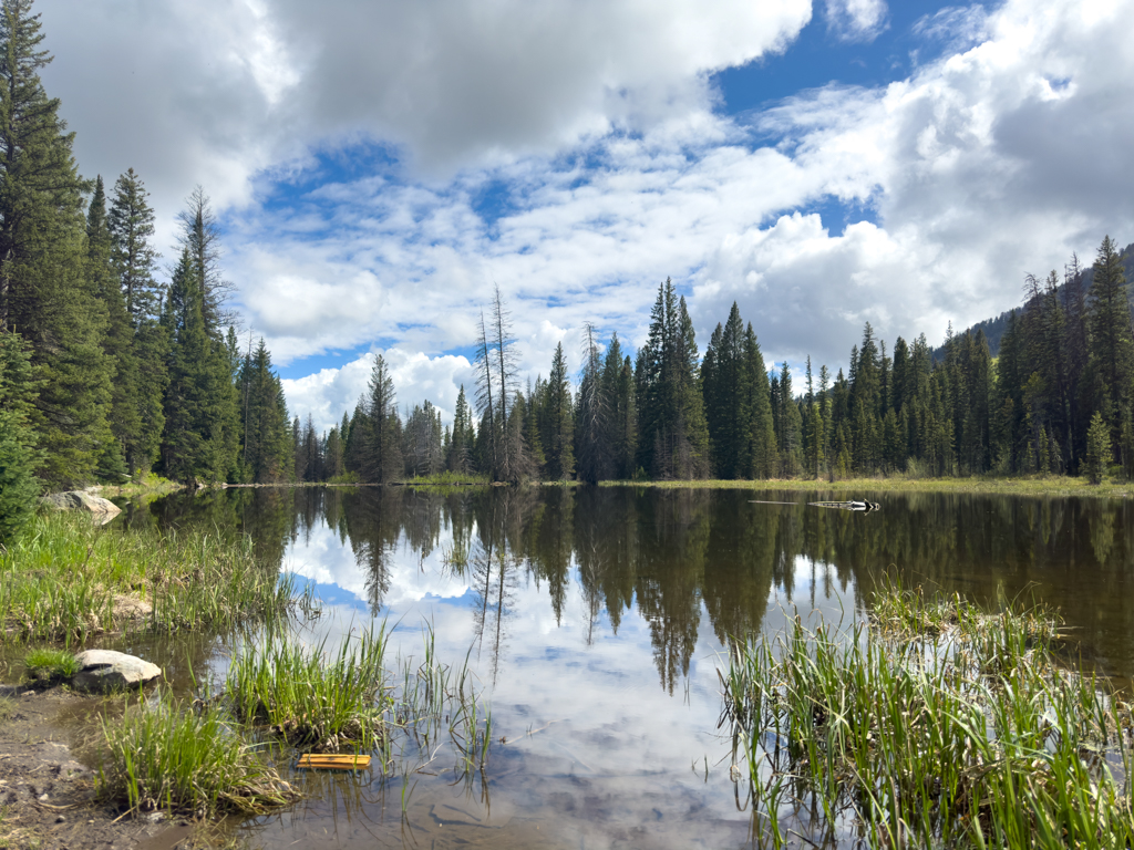 Idyllischer Moose Pond, Grand Teton National Park