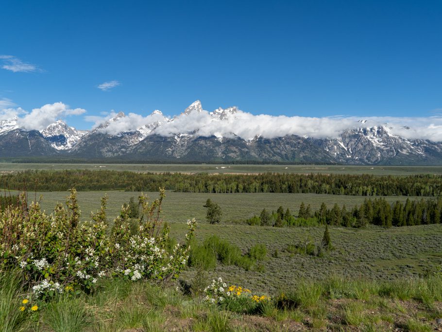 Panorama-Ausblick auf die Grand Tetons