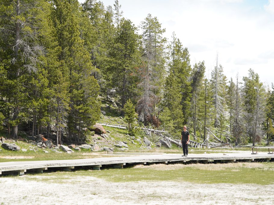 Jo beobachtet den Bison beim Old Faithful