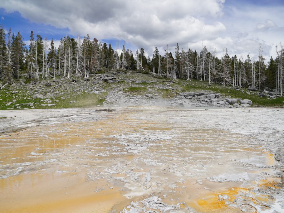 An allen Ecken zischt, blubbert und brodelt es. Der viele heisse Wasserdampf hat vermutlich die Bäume rund herum zum Absterben gebracht.