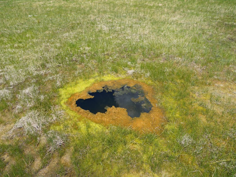 Kleine heisse Quelle mitten in der Wiese