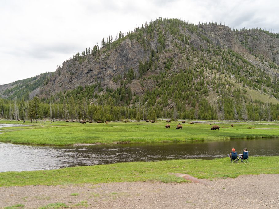 Camping-Gäste geniessen den friedlichen Abend beim Beobachten der Bison-Herde