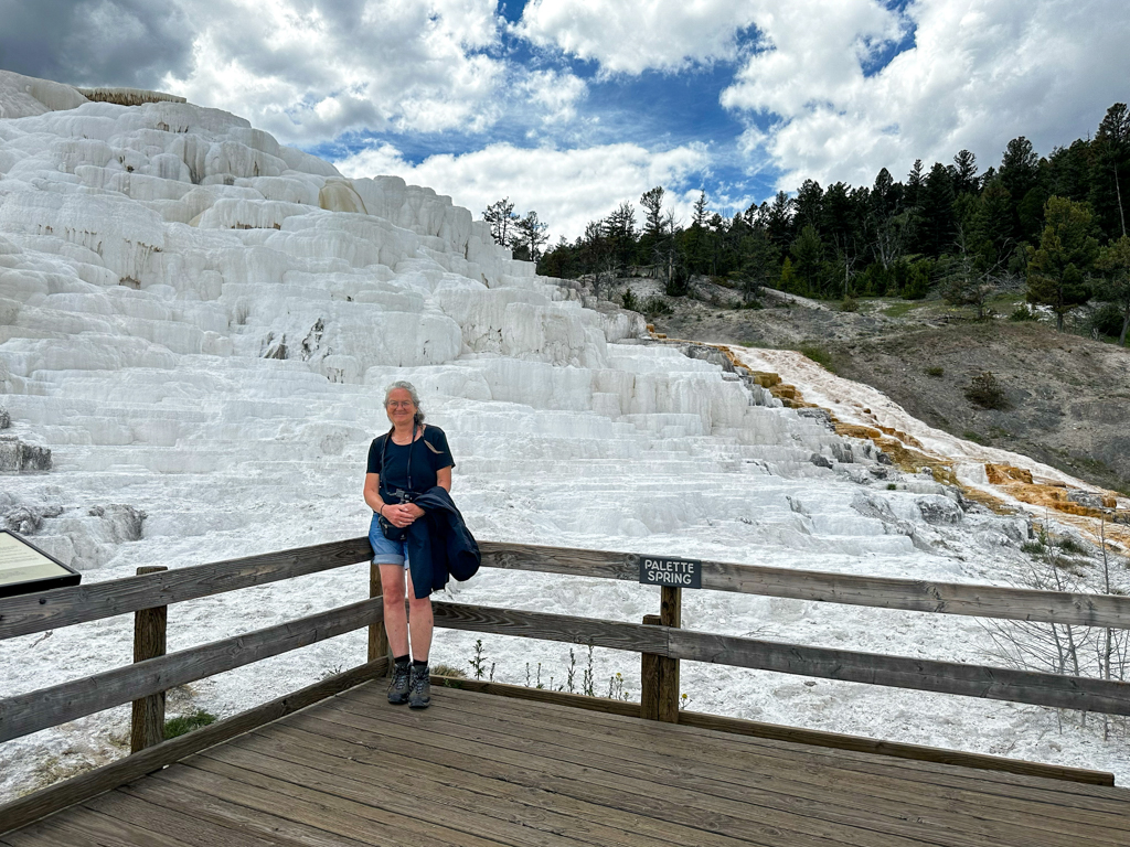 Mammoth Hot Springs und Sinterterrassen