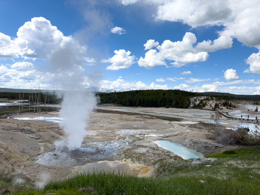 Norris Geyser Basin