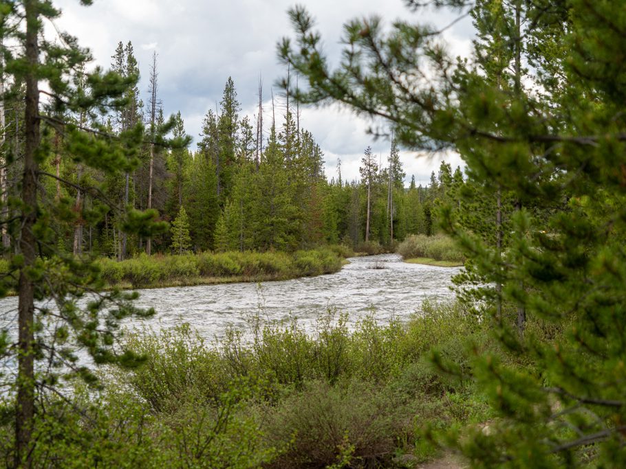 Fluss im Yellowstone N.P.