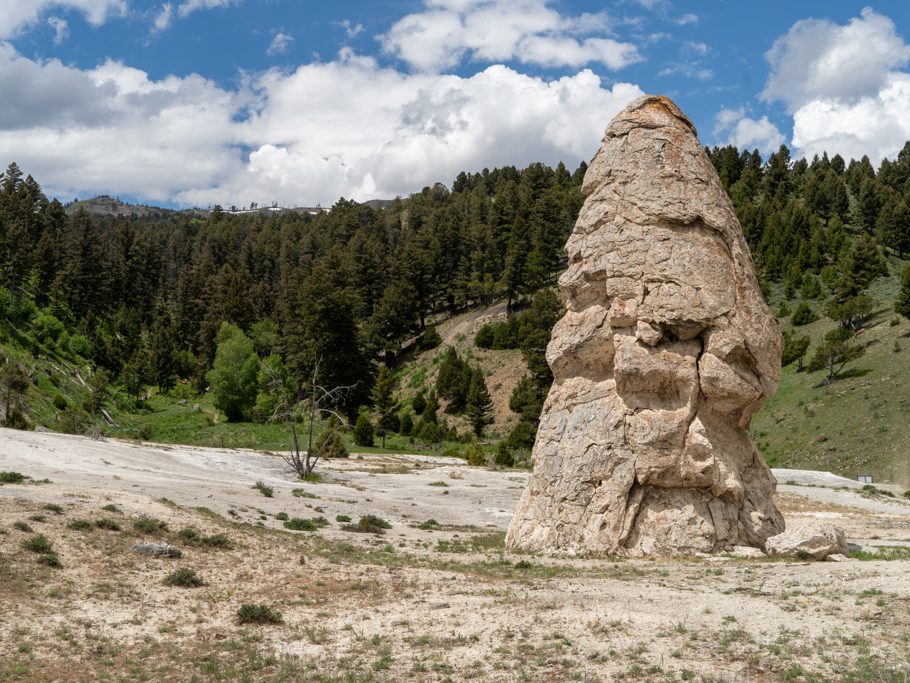 Mammoth Hot Springs und Sinterterrassen