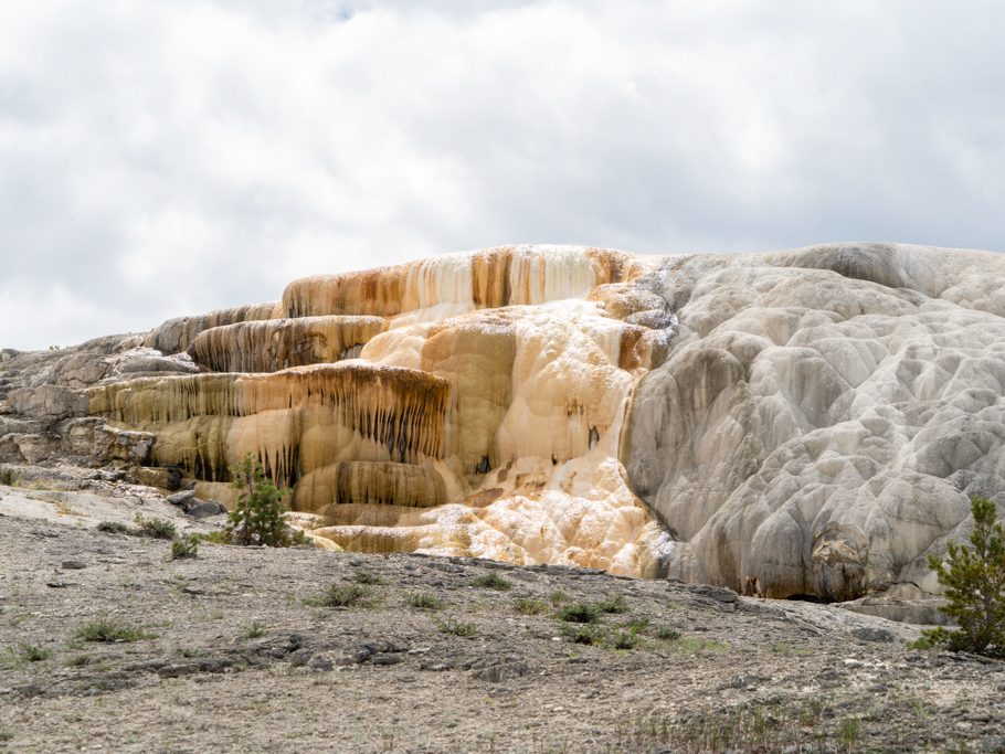 Mammoth Hot Springs und Sinterterrassen