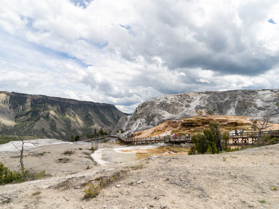Mammoth Hot Springs und Sinterterrassen