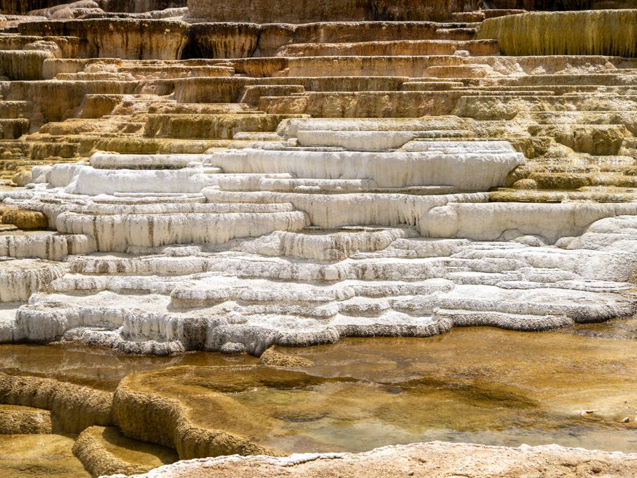 Mammoth Hot Springs und Sinterterrassen