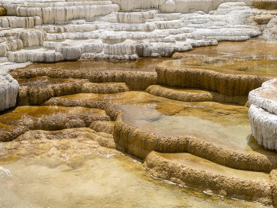 Mammoth Hot Springs und Sinterterrassen