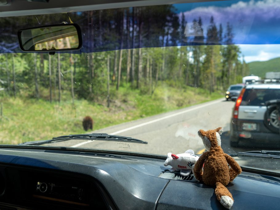 Ich habe Pole Position! Perfektes Car-Sightseeing.