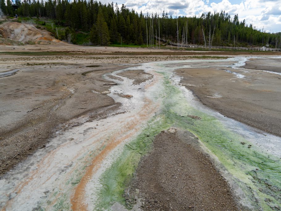 Norris Geyser Basin